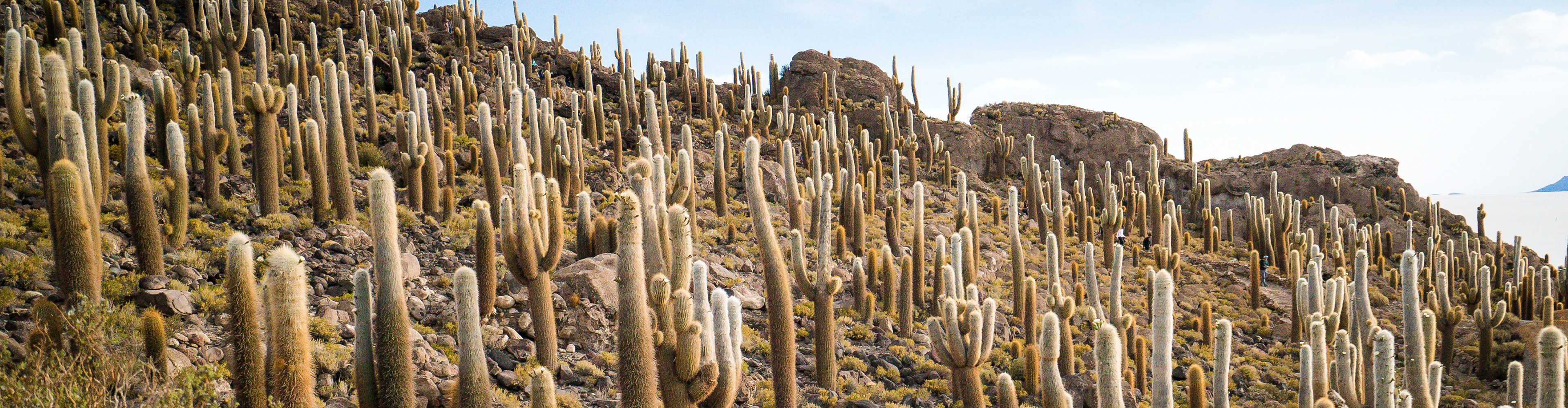 Best of Bolivia & Argentina trip photo