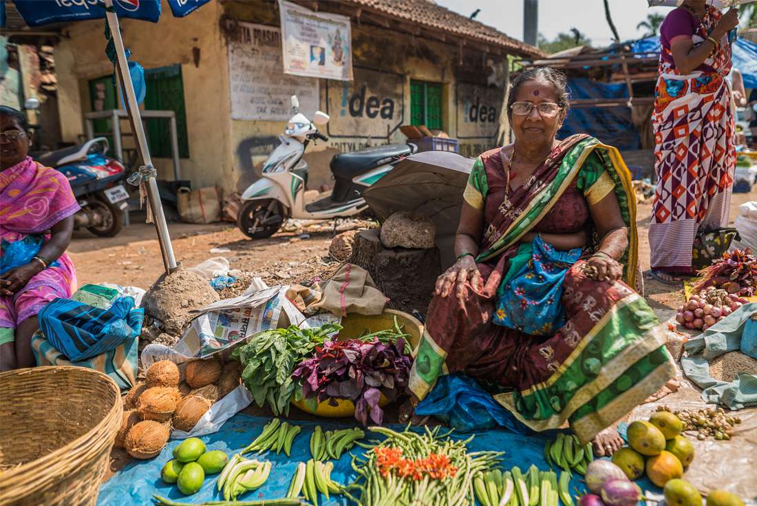 South India Revealed