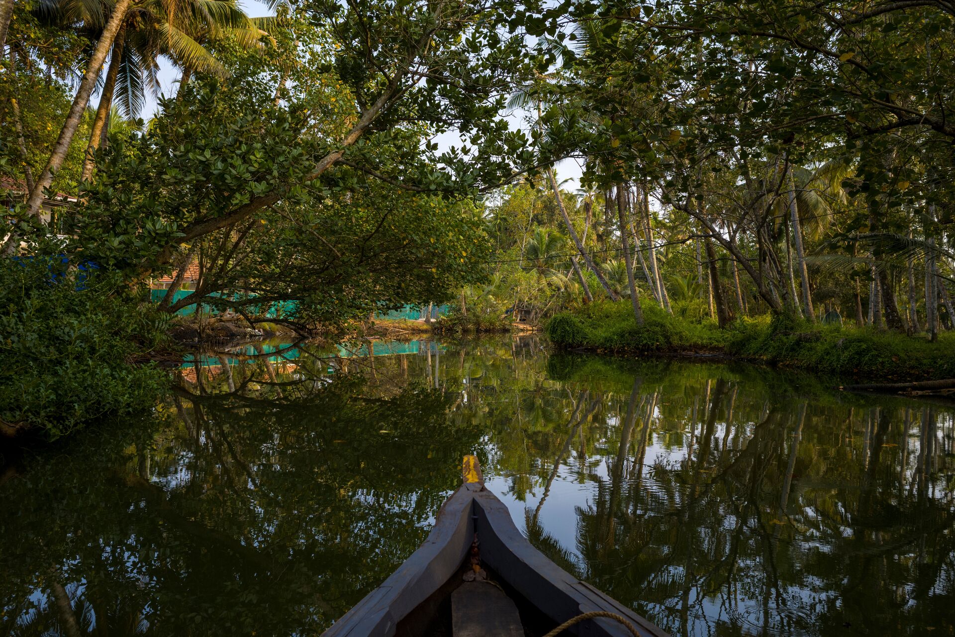 South India Revealed