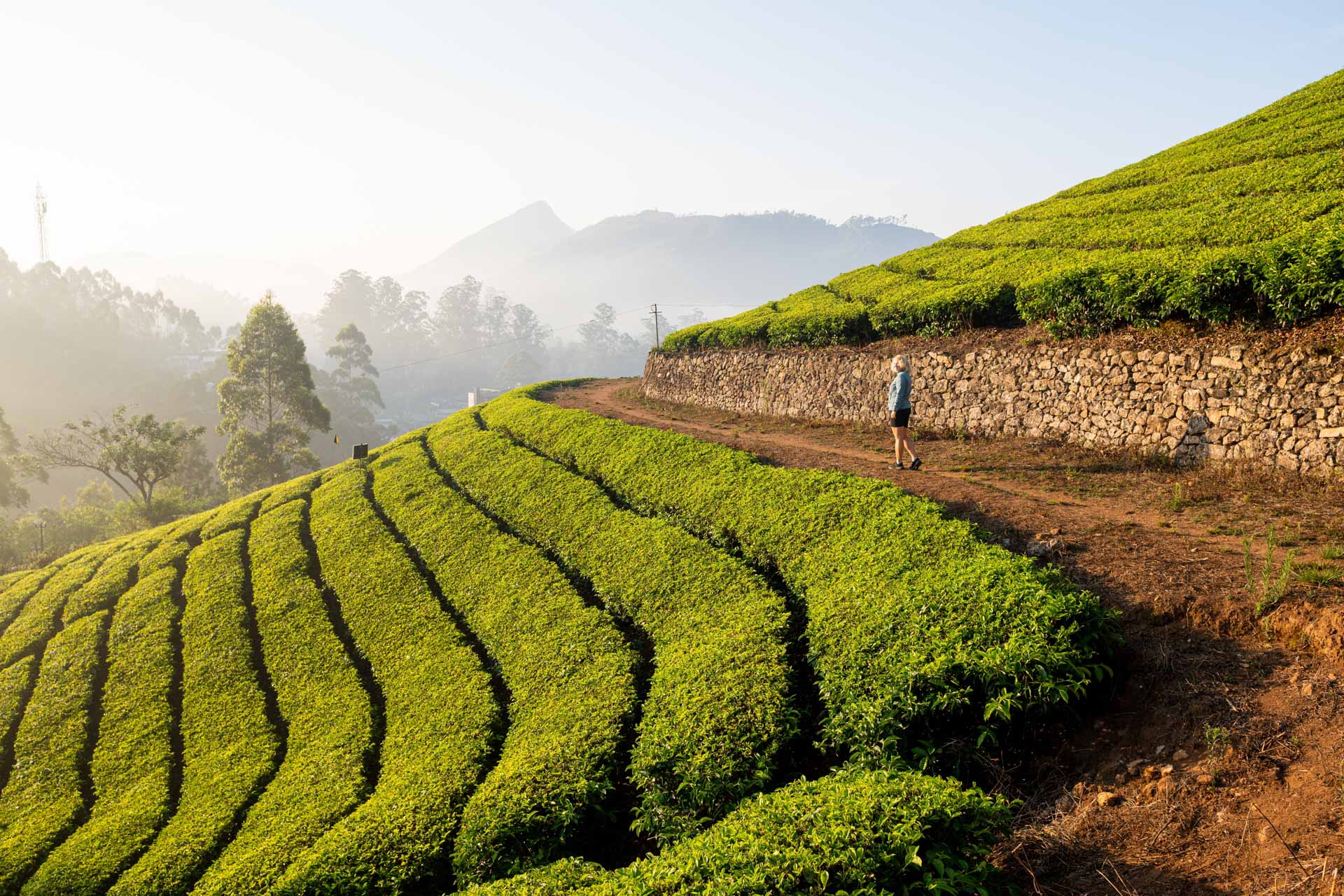 South India Revealed
