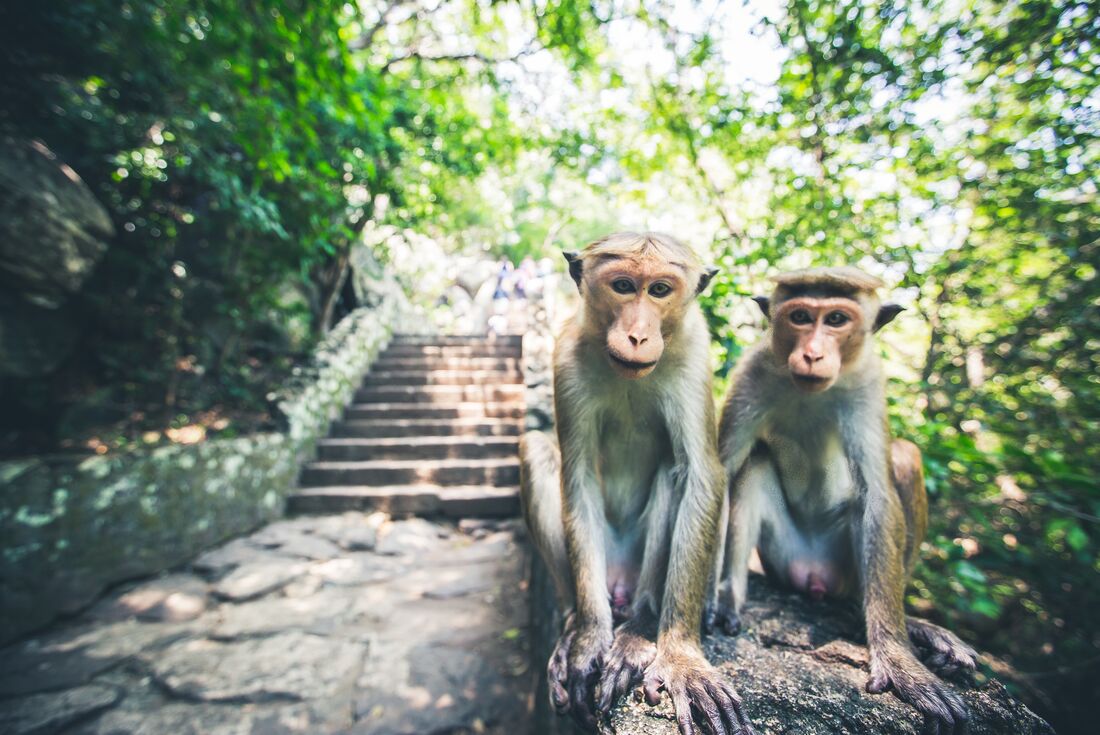 Simply Sri Lanka