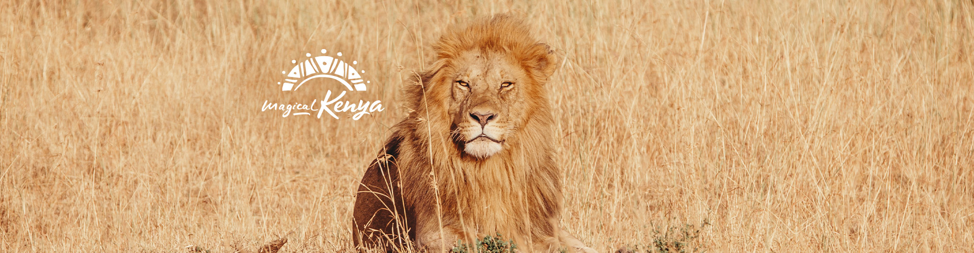 Premium Kenya trip photo