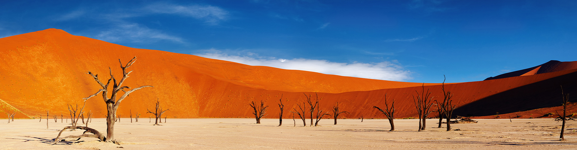 Premium Namibia trip photo