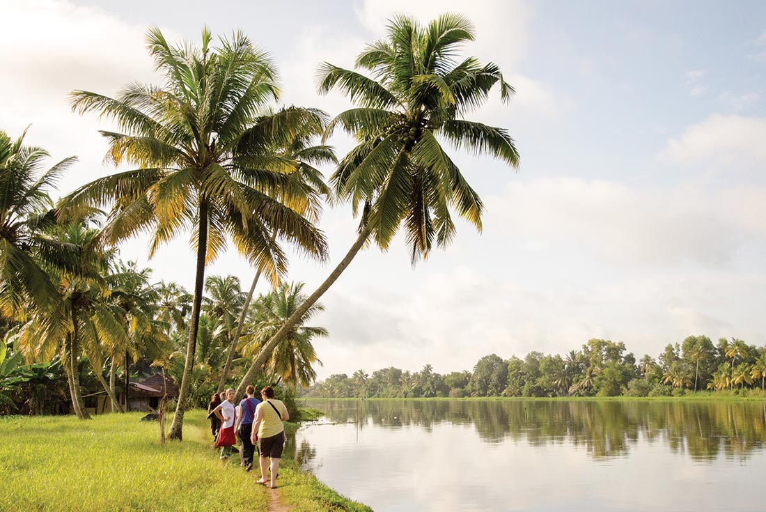 Premium South India