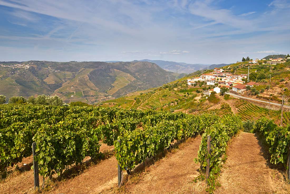 Premium Portugal