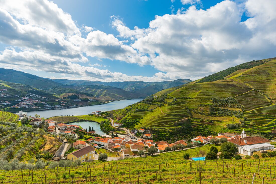 Portugal Real Food Adventure