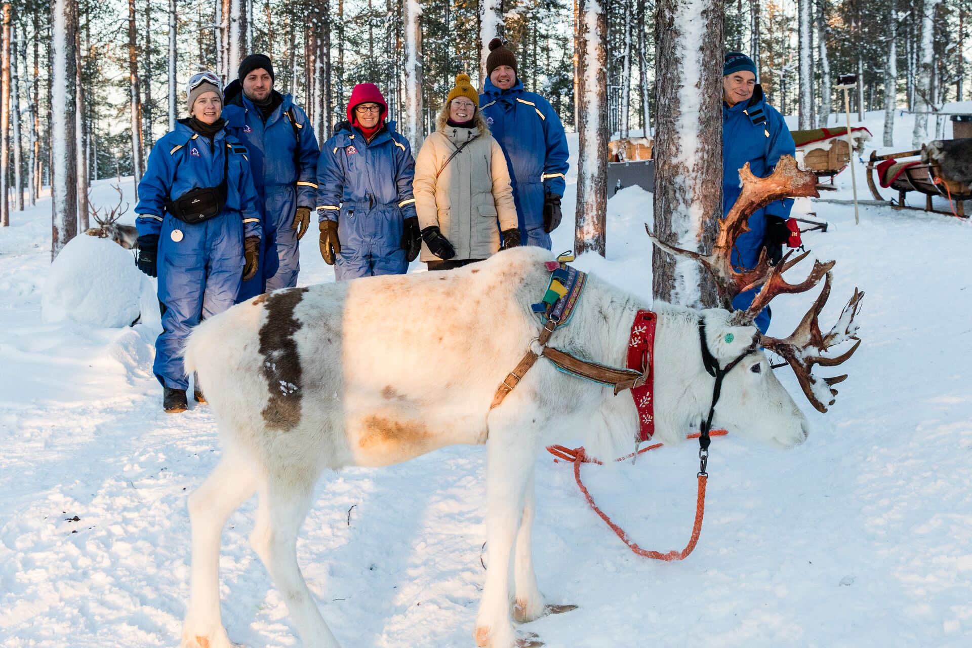 Finnish Lapland in Winter