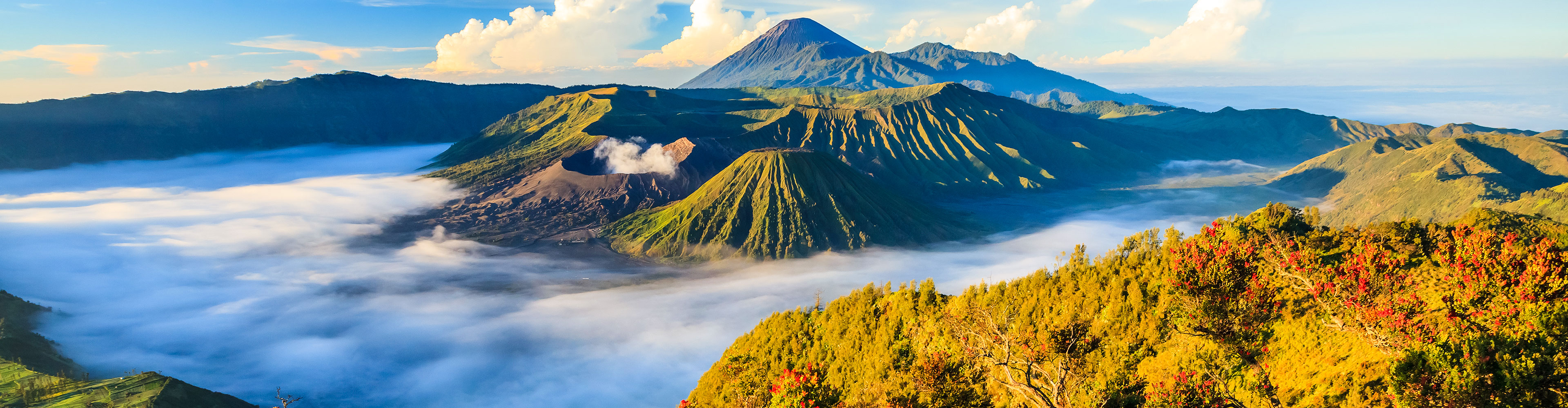 GAdventures