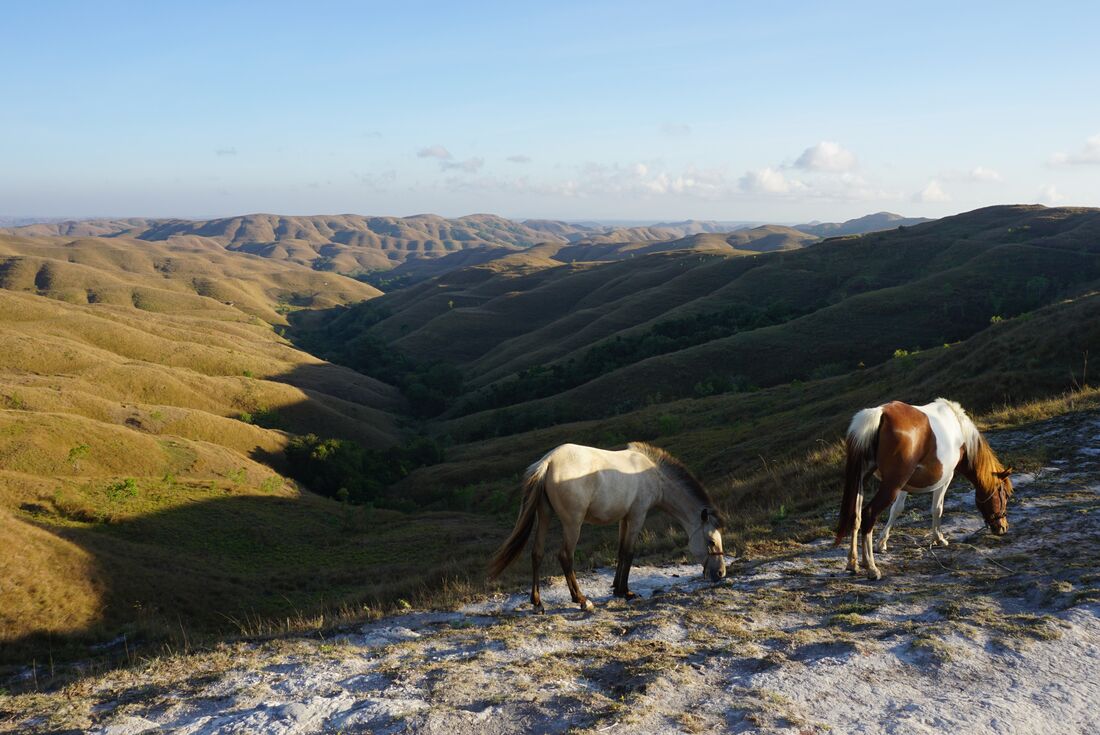 GAdventures
