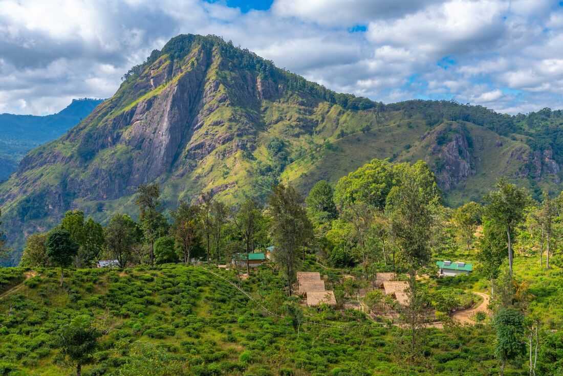 Hike Sri Lanka's Pekoe Trail