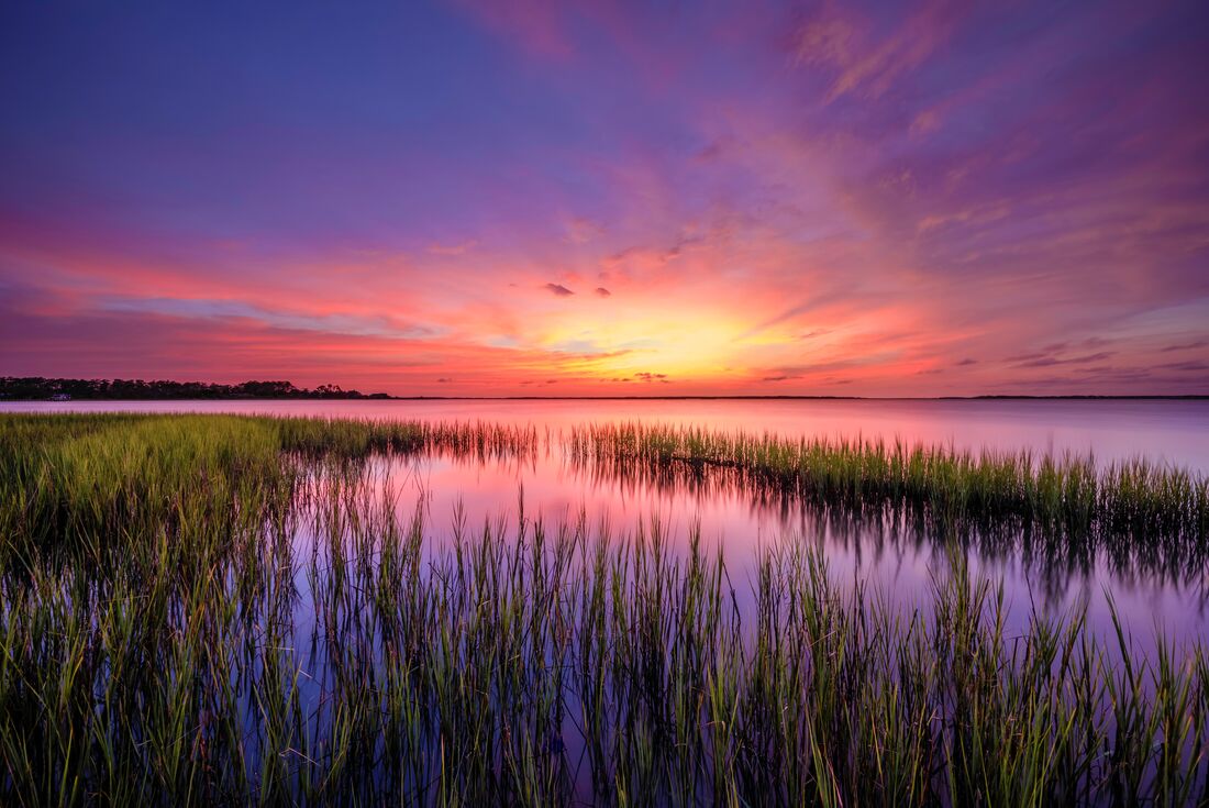 Best of the South: Charleston to New Orleans