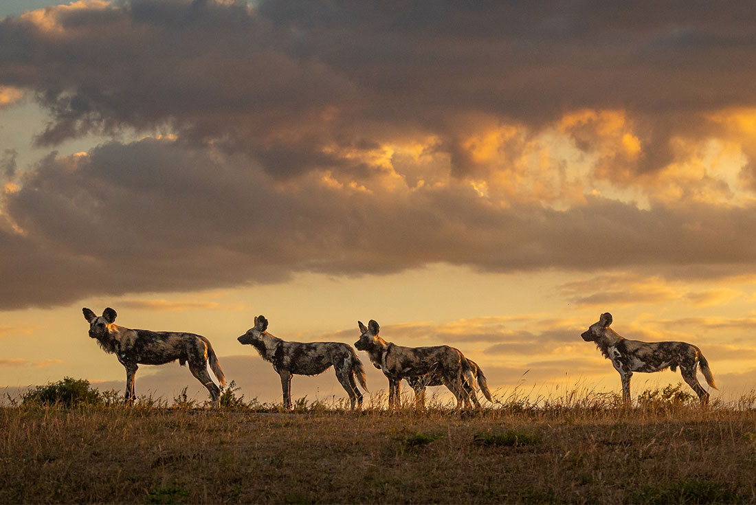 Explore Southern Africa