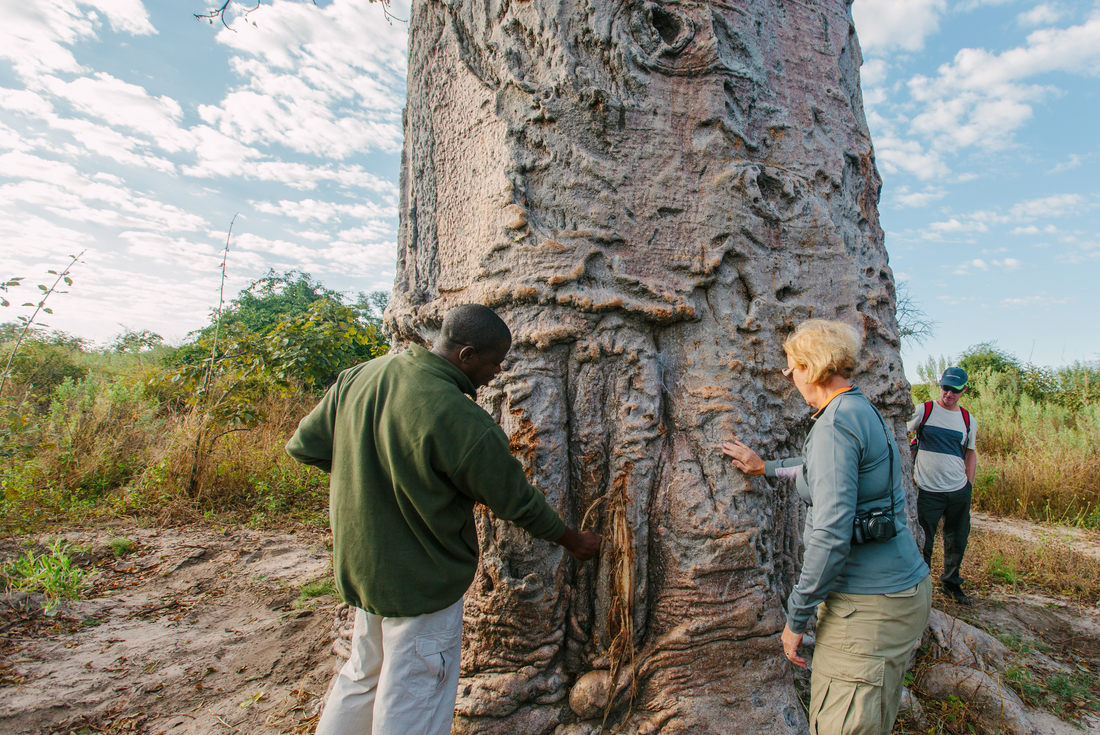 Experience Southern Africa