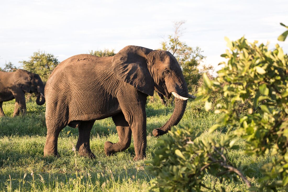 Experience Southern Africa