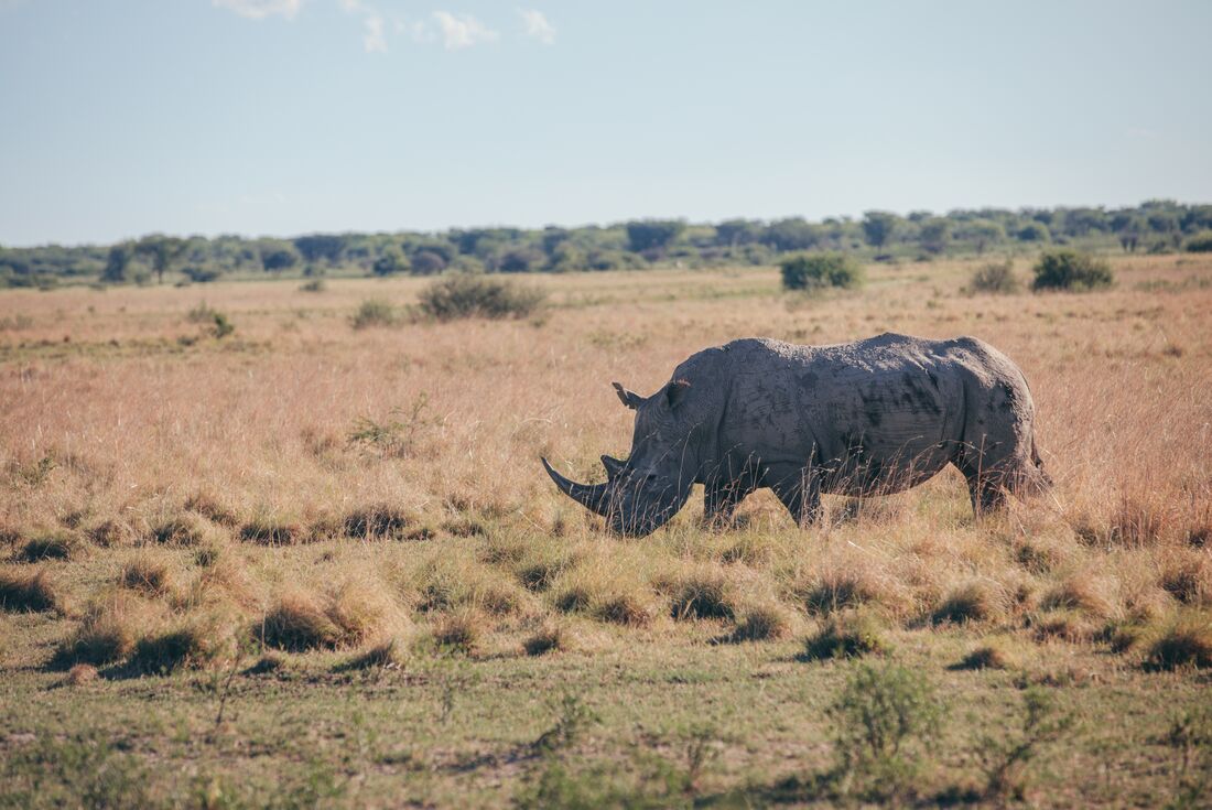 Experience Southern Africa