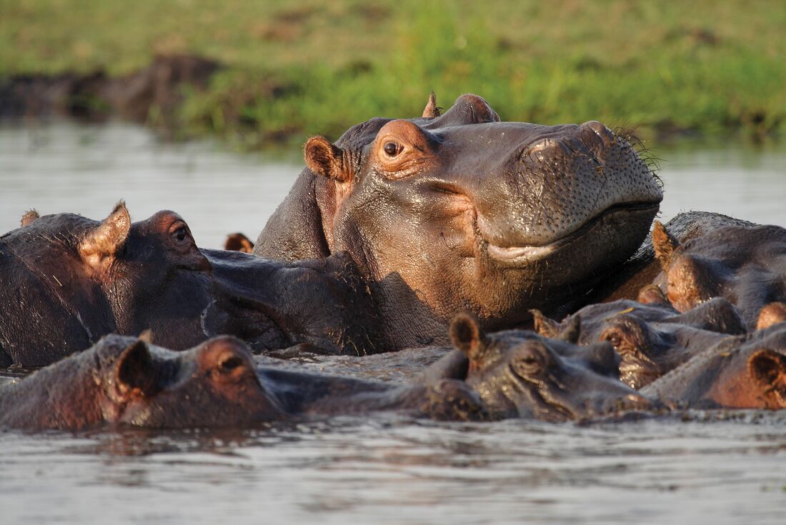 Experience Southern Africa