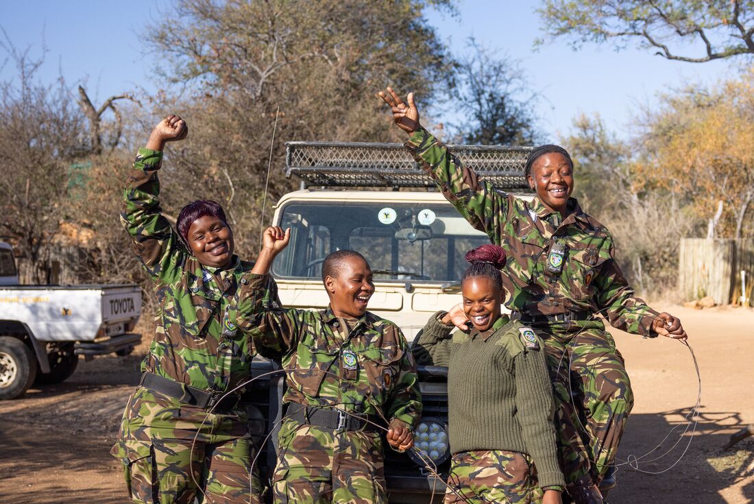 Experience Southern Africa