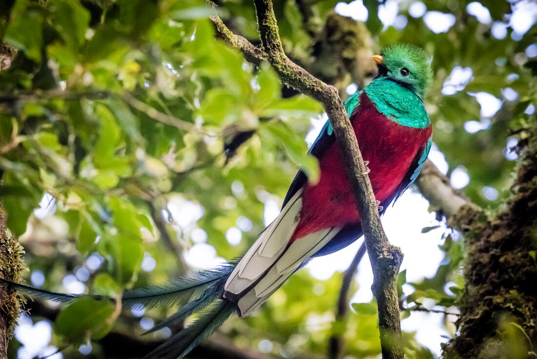 Amazing Central America