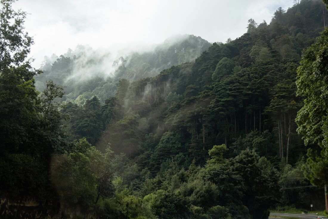 Best of Central America