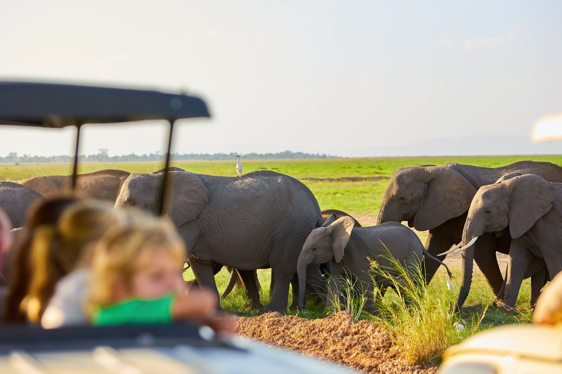 Kenya and Tanzania Family Safari