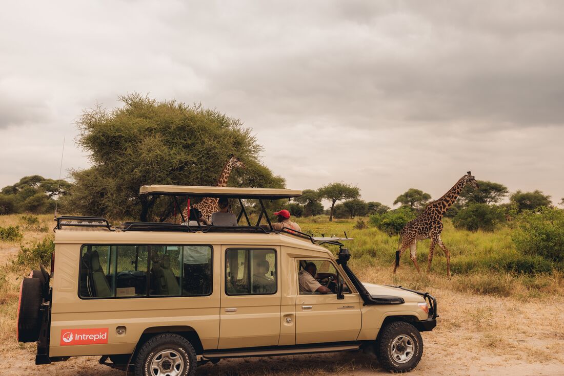 Premium Kenya & Tanzania