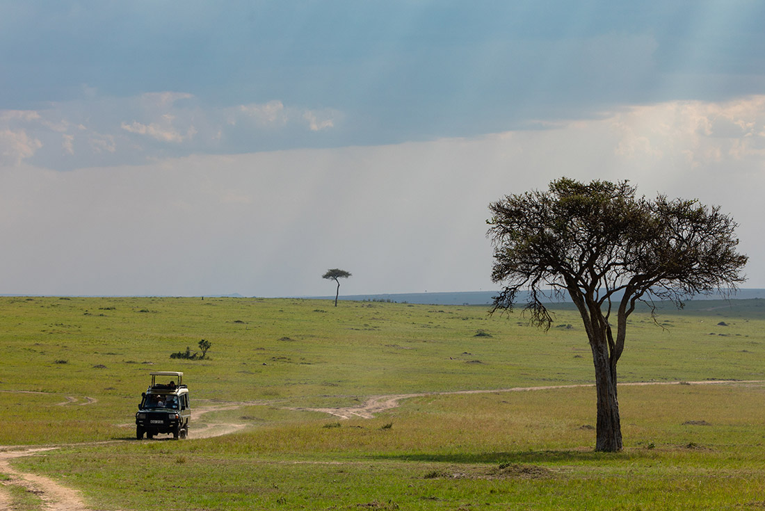 Premium Kenya & Southern Africa Highlights