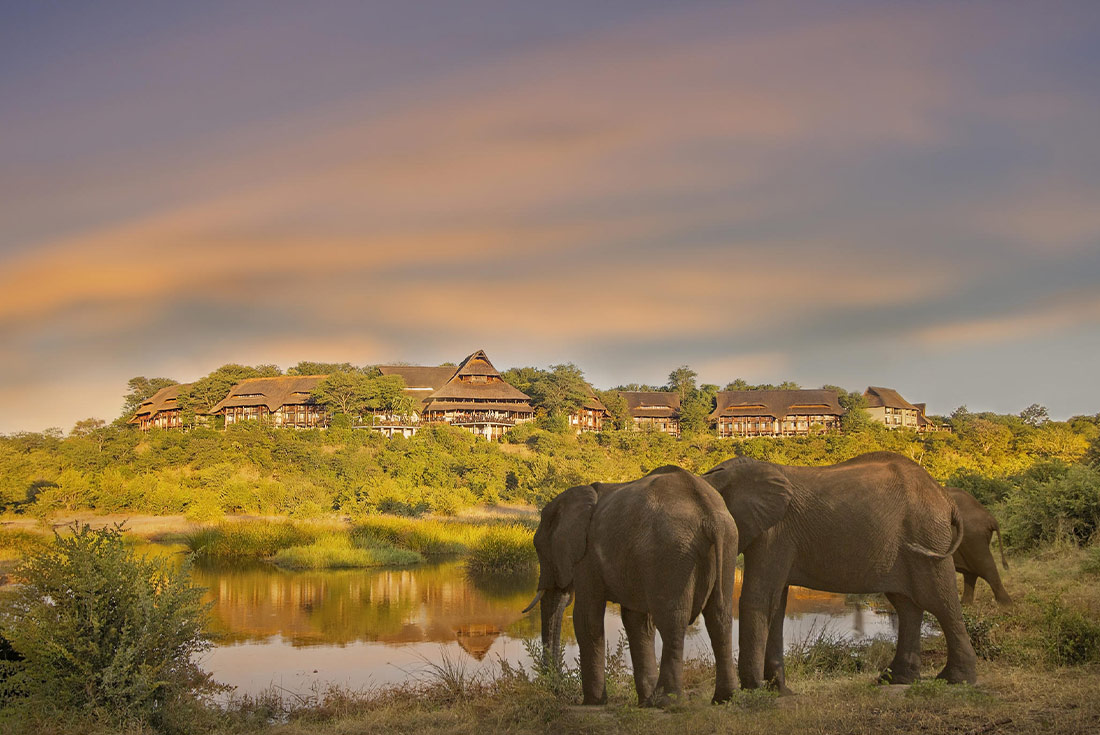 Premium Kenya & Southern Africa Highlights