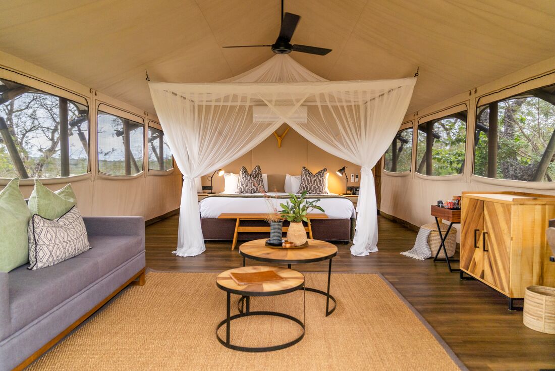 Premium Kenya & Southern Africa Highlights