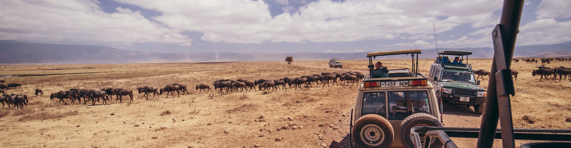 Road to Zanzibar