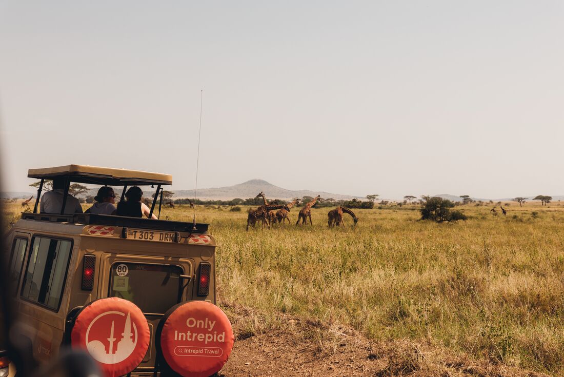 Cape Town to Kenya