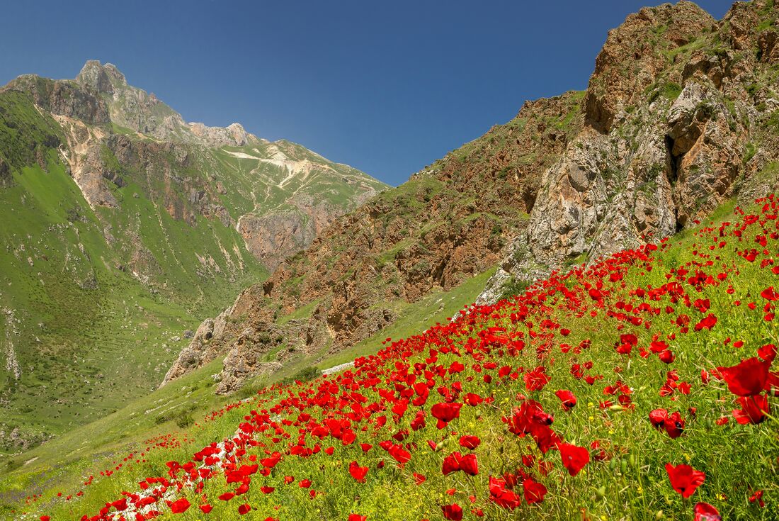 Georgia: Trekking the Transcaucasian Trail