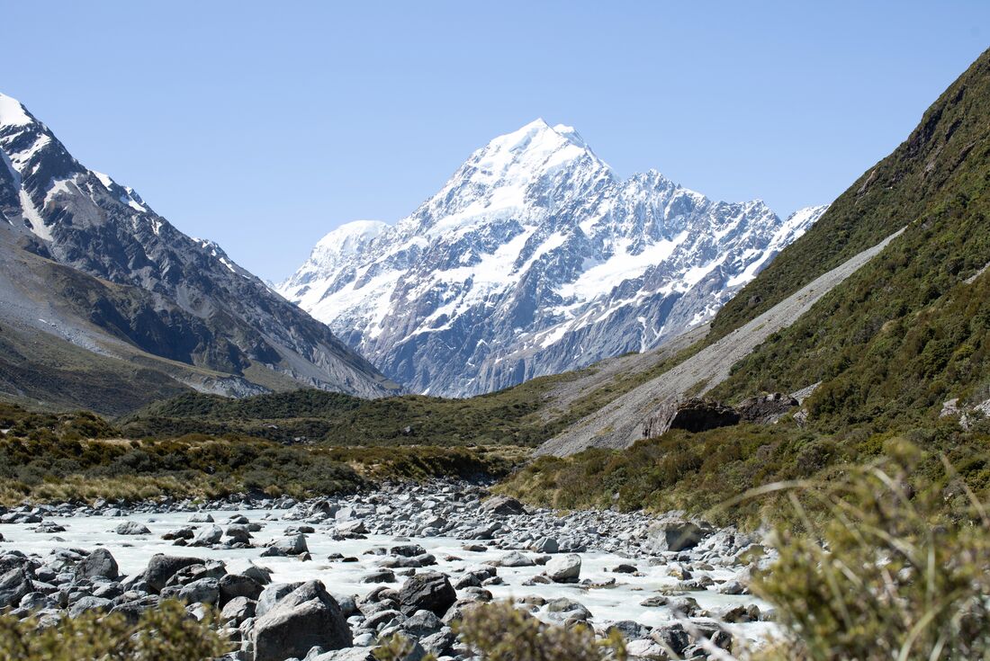 New Zealand Amplified