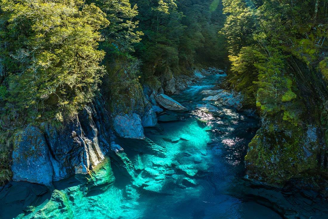 New Zealand West Coast Adventure