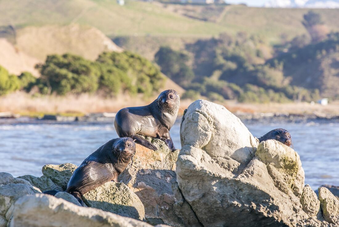 New Zealand West Coast Adventure