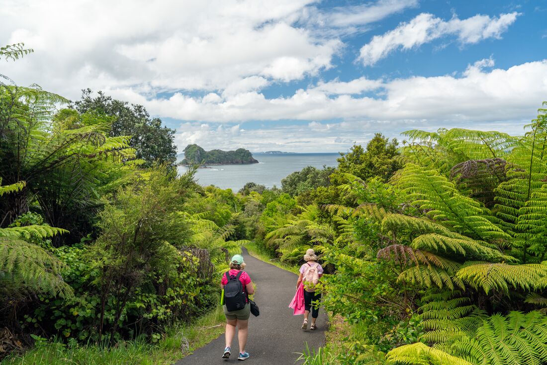 New Zealand Northern Trail