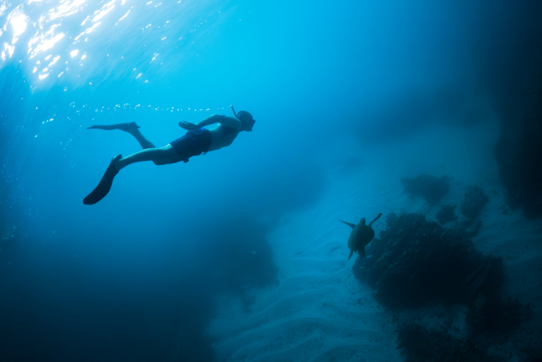 Galapagos Cruise & Peru in Depth (Grand Queen Beatriz)