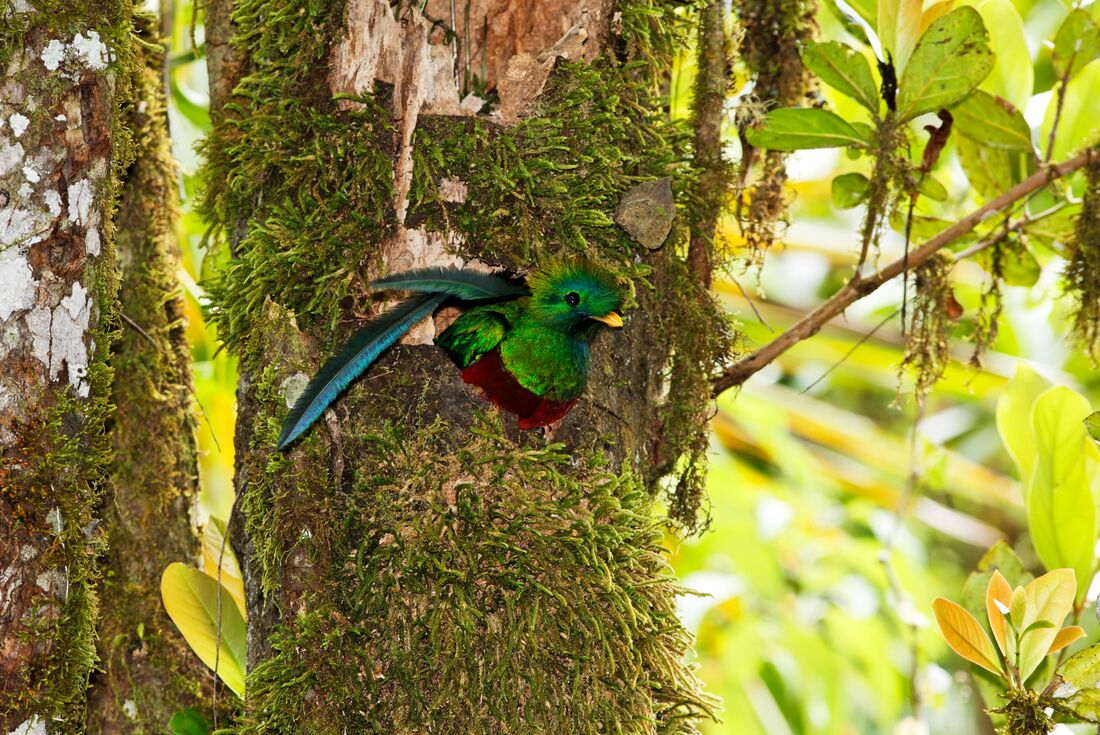 Costa Rica Family Holiday