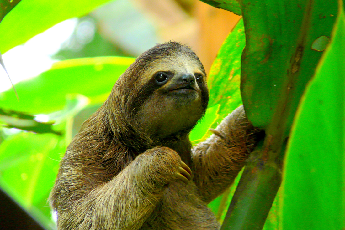 Best of Costa Rica