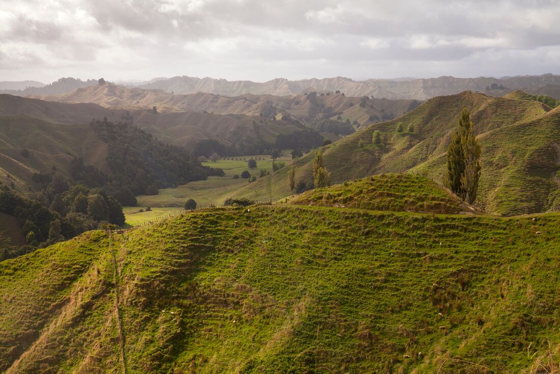 New Zealand North Island Adventure