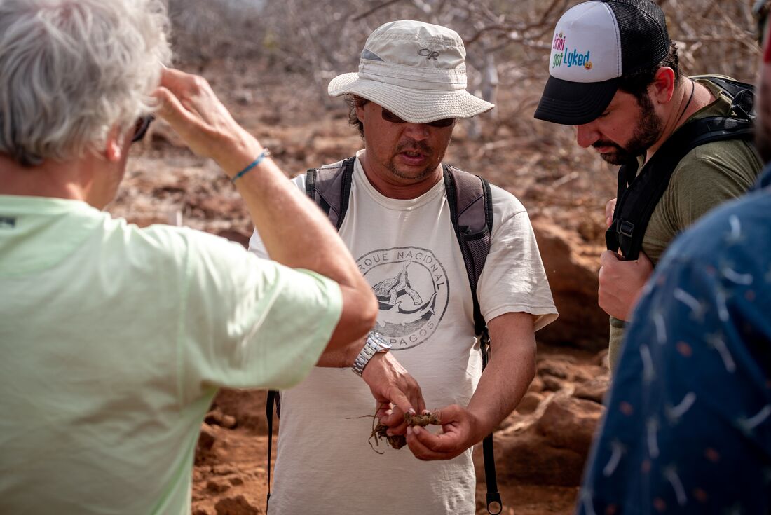 Galapagos Explorer: Southern Islands (Grand Queen Beatriz)