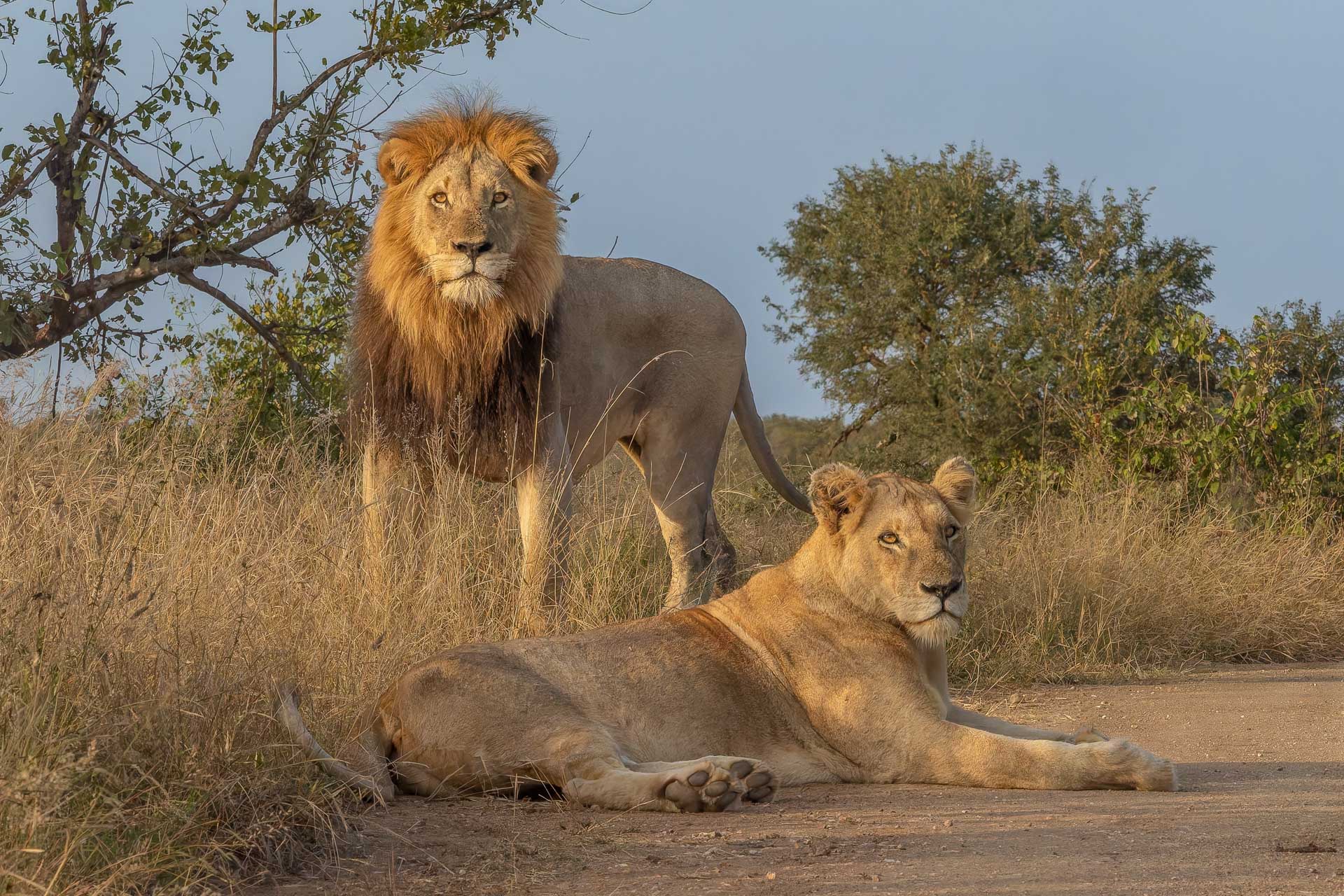 South Africa's Kruger, Coast & Garden Route