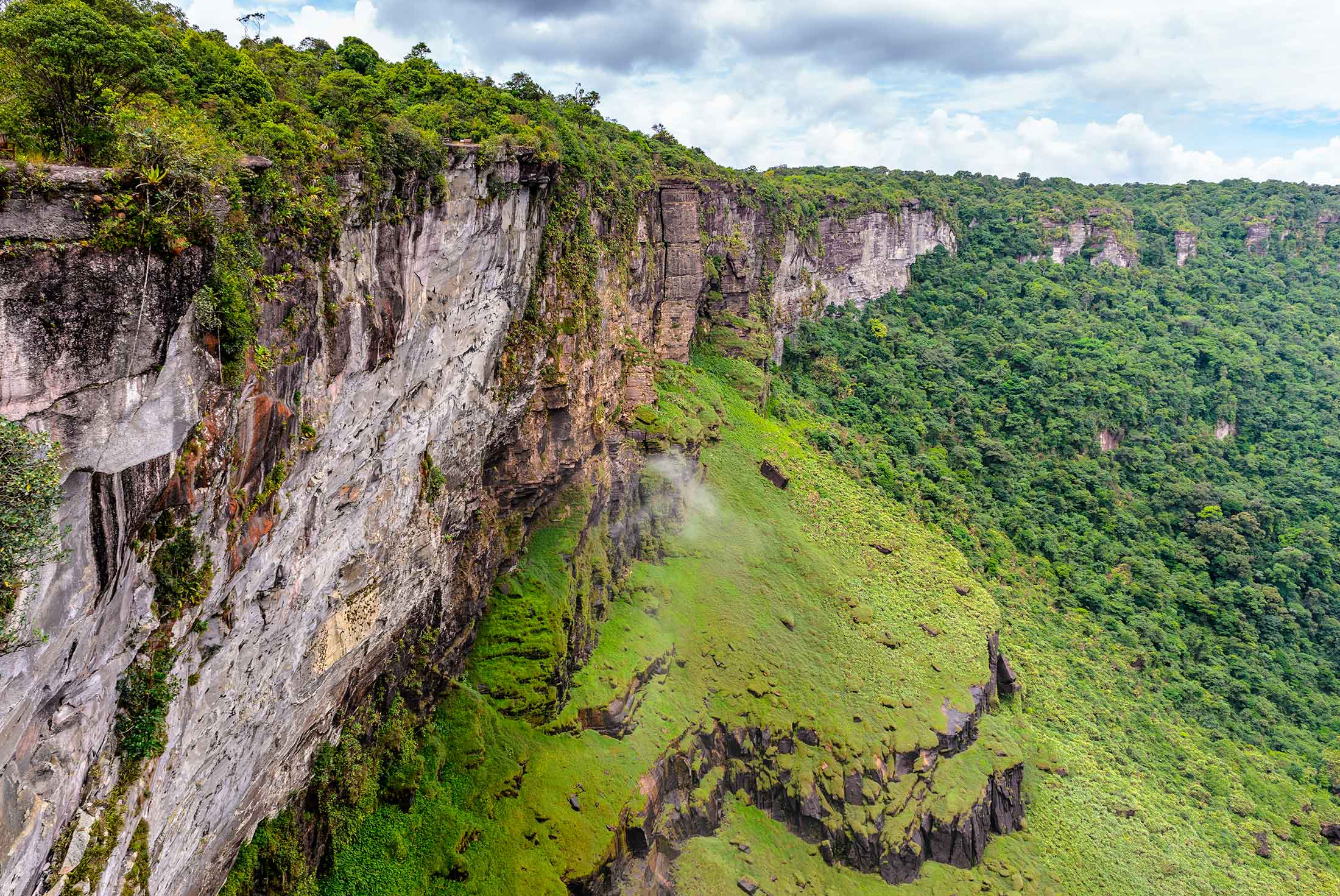 Dark Markets Guyana