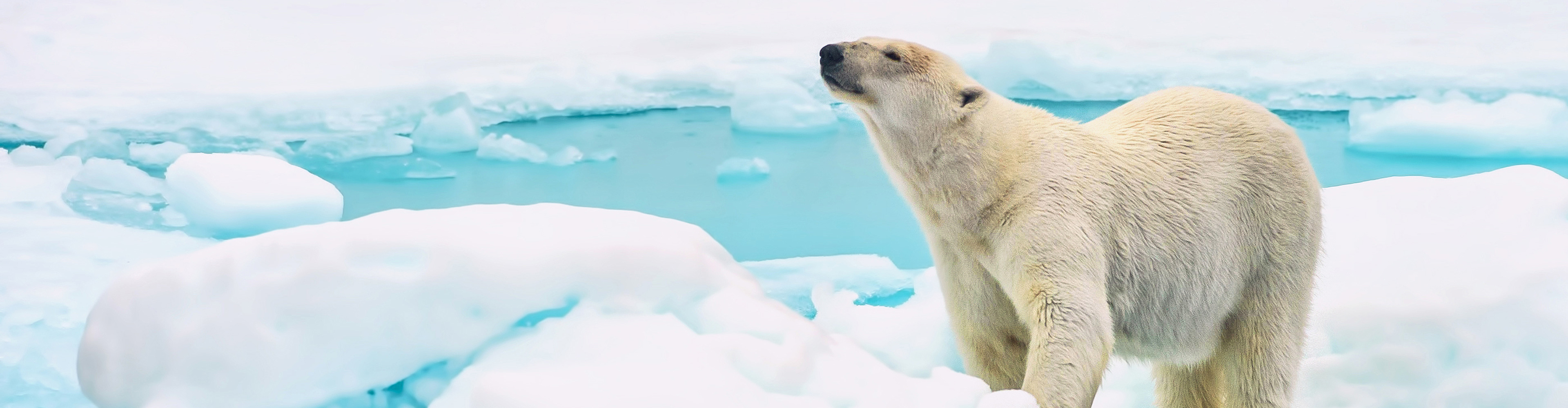 Northwest Passage High Arctic, Villages and Icebergs