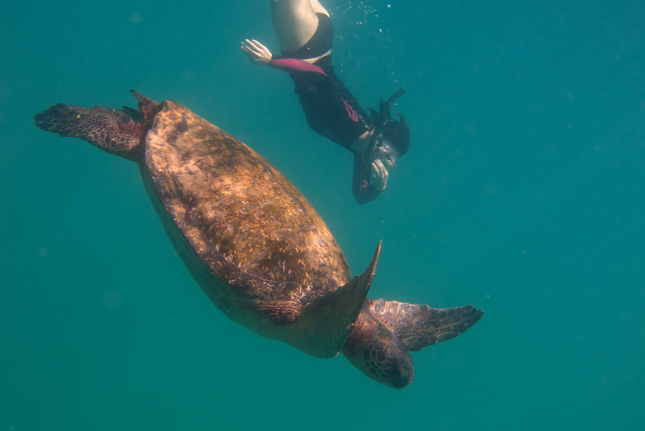Galapagos Explorer - Central Islands (Grand Queen Beatriz) 2 Galapagos Explorer - Central Islands (Grand Queen Beatriz) 2