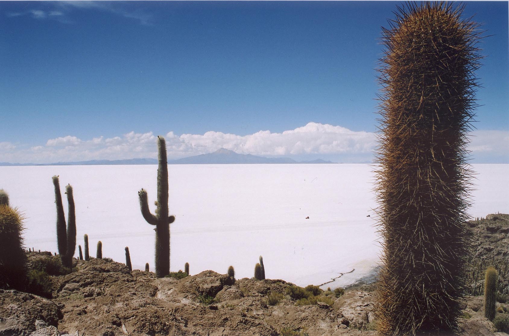 Uyuni Experience - Independent 3 Uyuni Experience - Independent 3