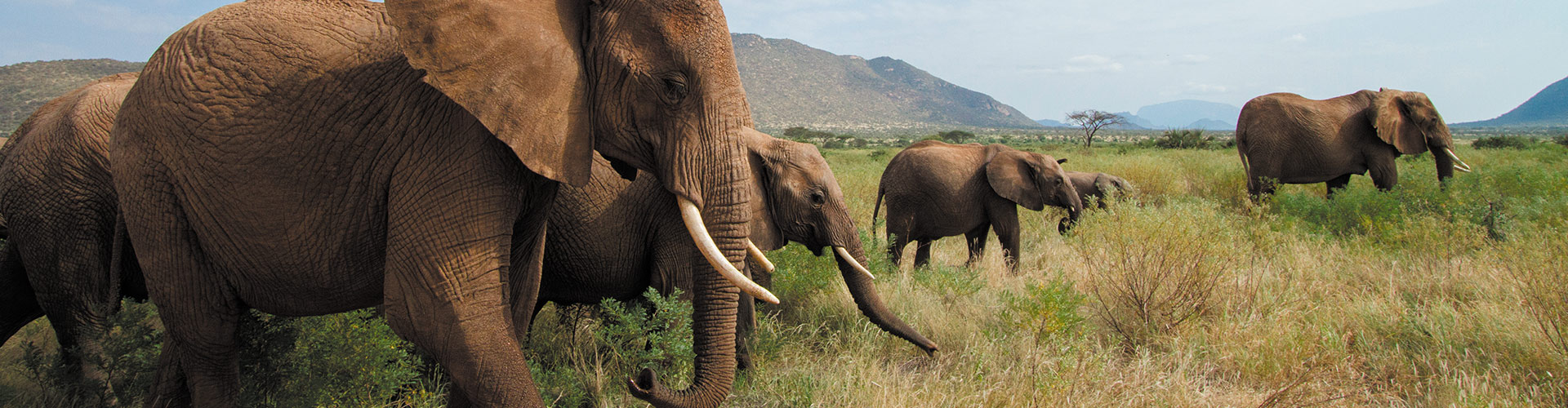 Grand Africa: Nairobi to Port Elizabeth