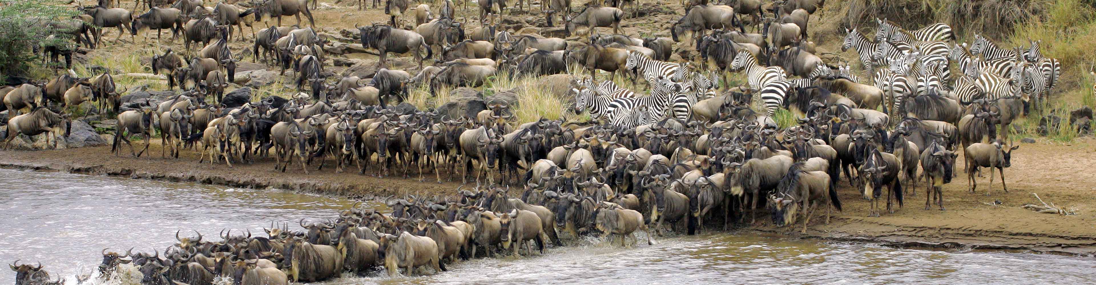 Masai Mara Experience – Independent