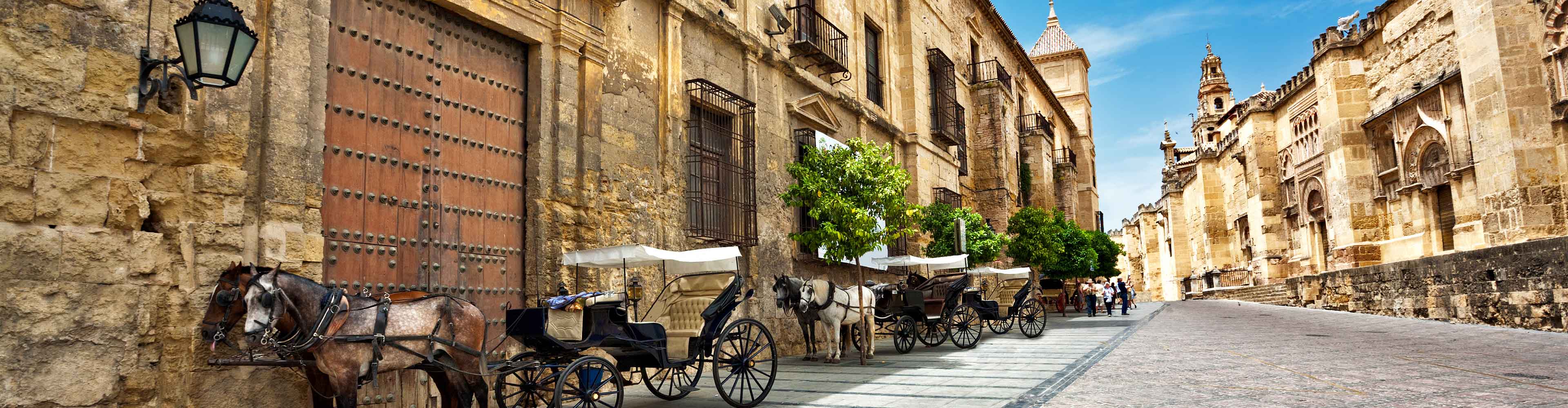 A Week on the Camino (self-guided)