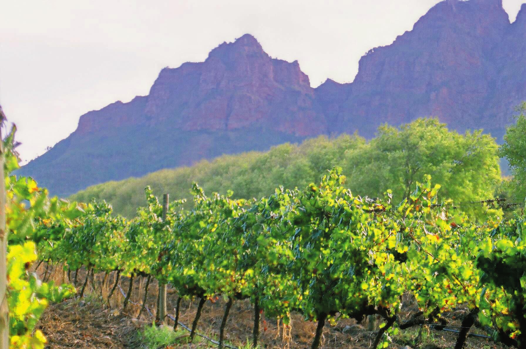 Cape Town & Kruger Experience - Independent 3 Cape Town & Kruger Experience - Independent 3
