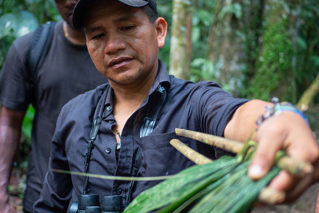Peru: Amazon Jungle Experience – Independent 2 Peru: Amazon Jungle Experience – Independent 2